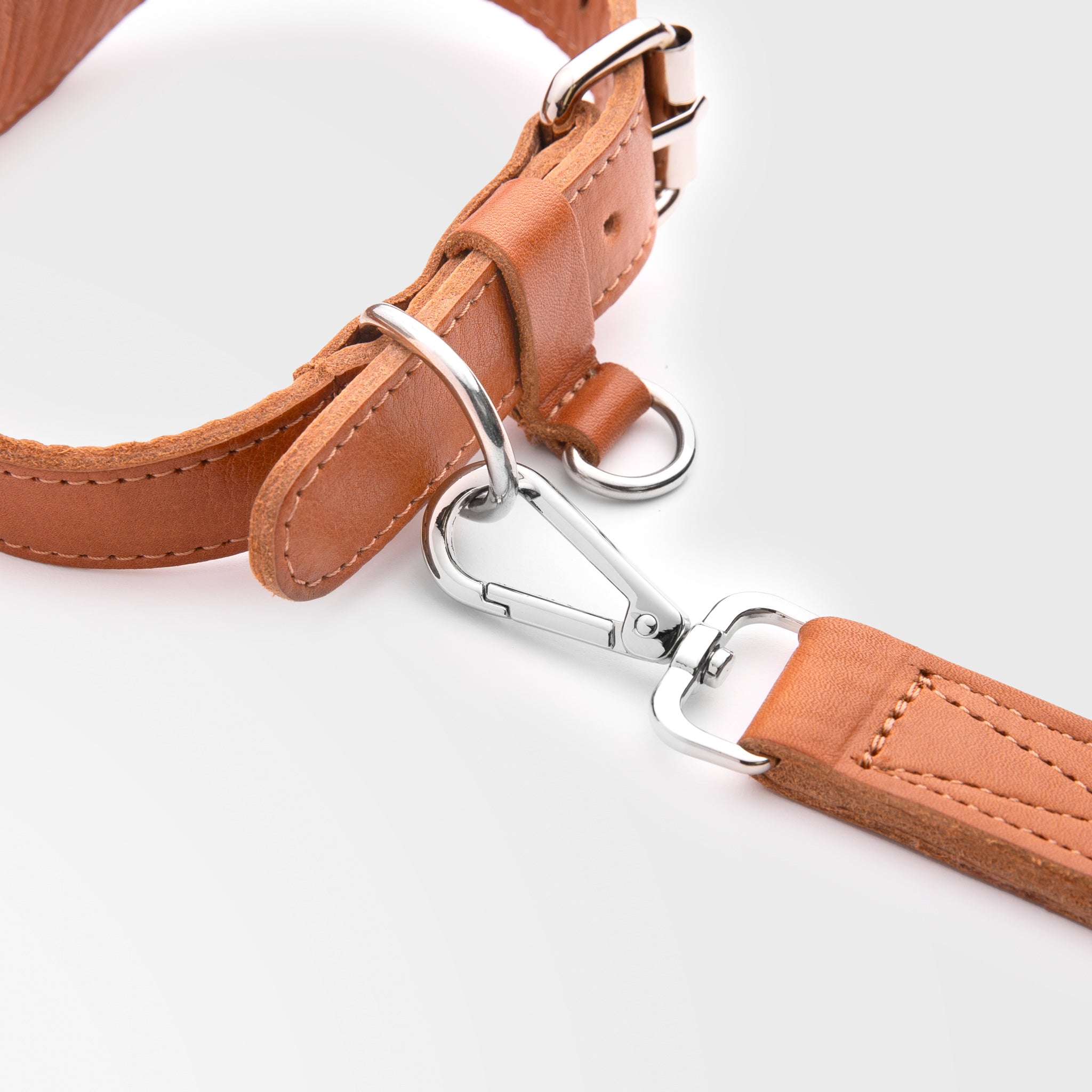 Walden® Genuine Leather Pet Collar and Leash · Terra