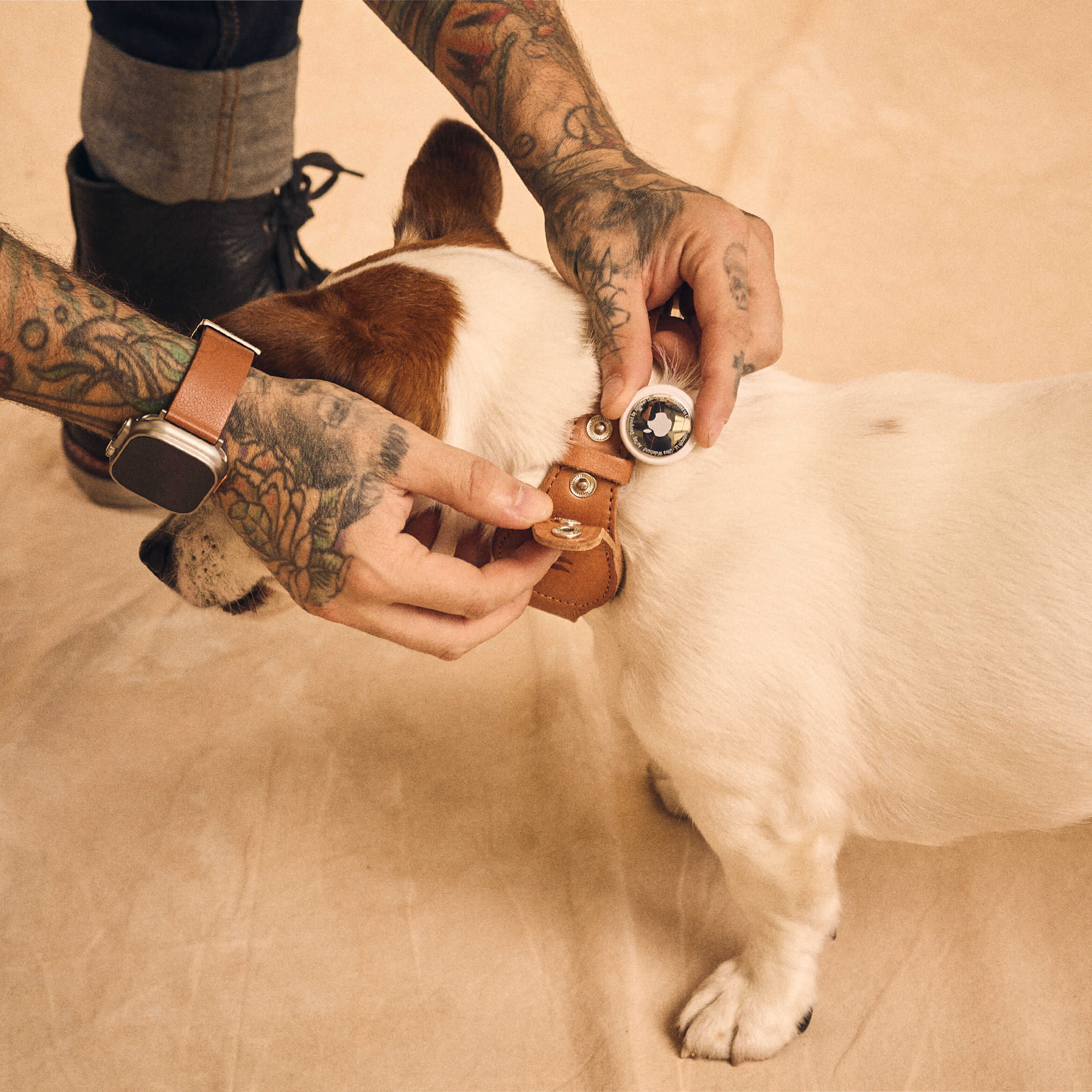 Walden® Genuine Leather Pet Collar and Leash · Terra
