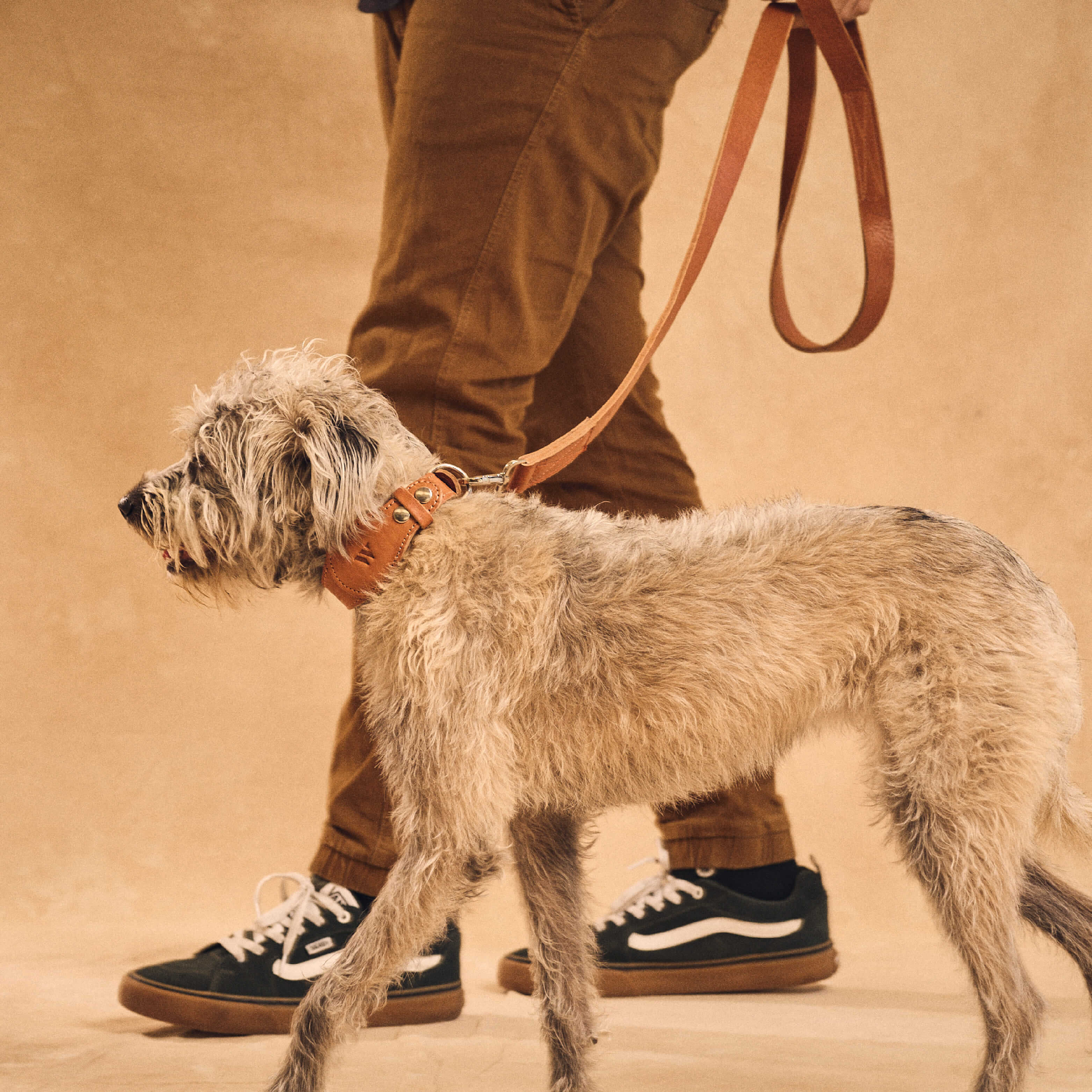 Walden® Genuine Leather Pet Collar and Leash · Terra