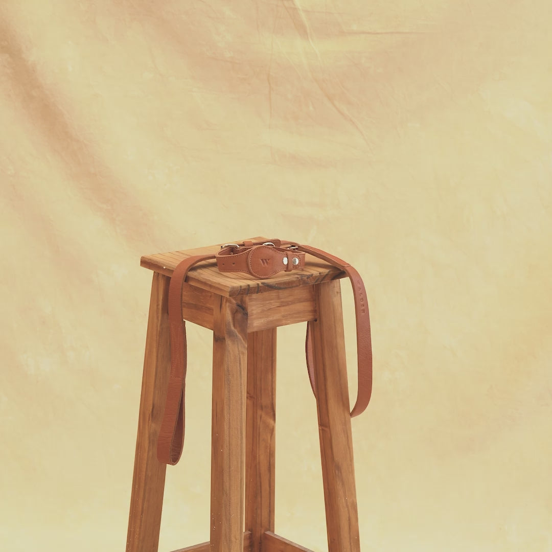 Walden® Genuine Leather Pet Collar and Leash · Terra